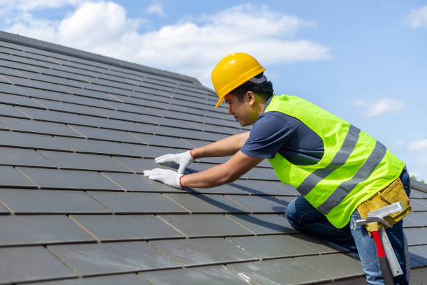 Best Local Roofing Companies  in Weidman, MI