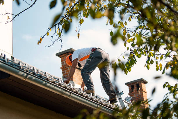 Best Roof Inspection Near Me  in Weidman, MI