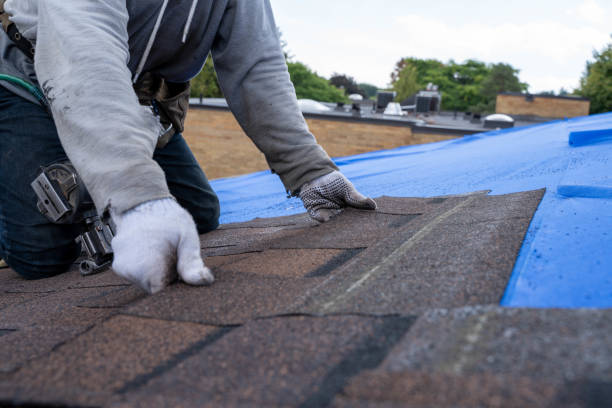 Best Roofing Contractors for Homes  in Weidman, MI