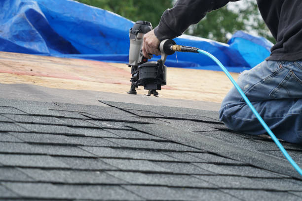 Best Roof Repair Services  in Weidman, MI