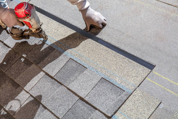 Best Roof Inspection Near Me  in Weidman, MI